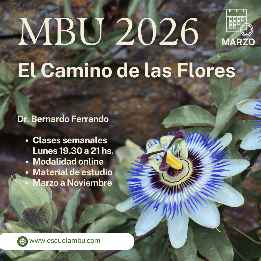 Curso de Formación MBU