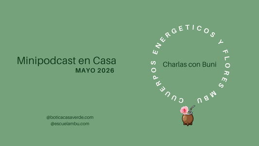Cuerpos Energéticos y el camino de la conciencia