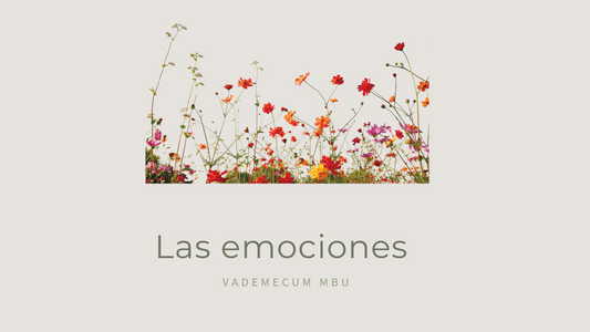 Las Flores y emociones de los niños