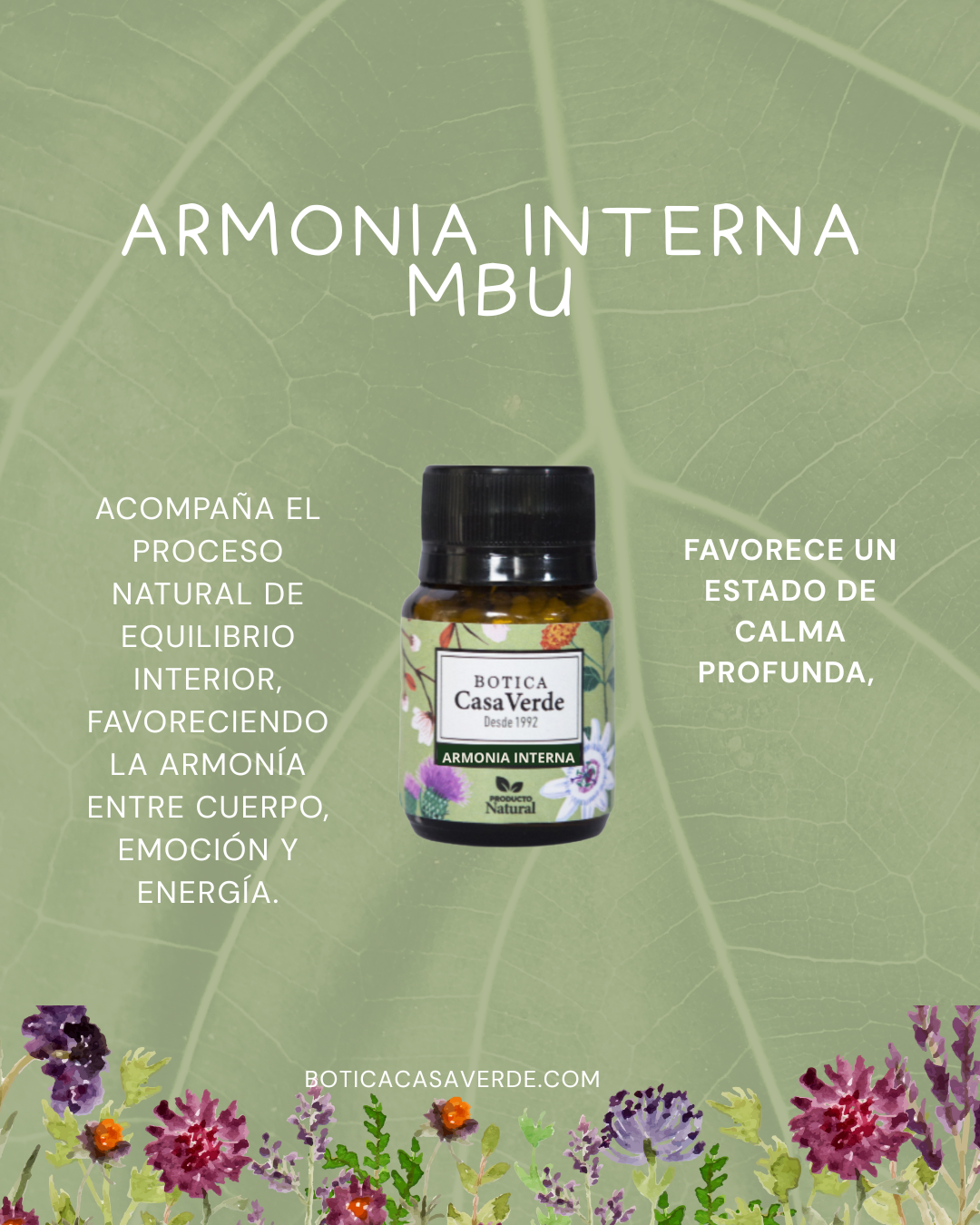 Armonía Interna