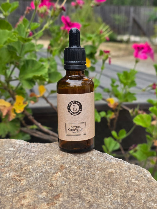 Protección Sonora MBU Veterinaria