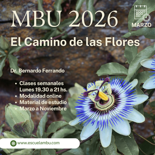 Curso de Formación MBU