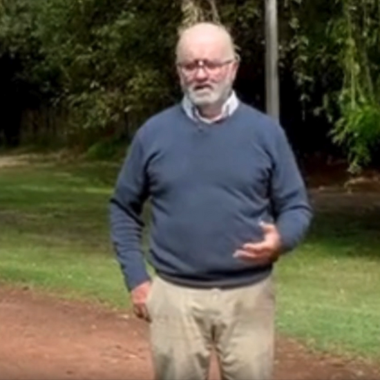 Compuesto de Serenidad